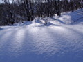 [小樽の風景]裏山にて2011年2月9日撮影