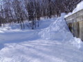 [小樽の風景]裏山にて2011年2月9日撮影