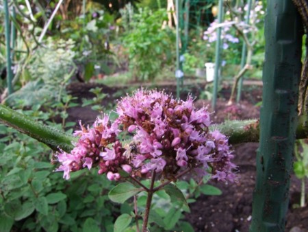 f:id:sikihuukei:20110820072812j:image