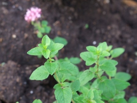 f:id:sikihuukei:20110820072815j:image