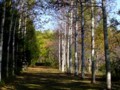 [小樽の風景]長橋なえぼ公園にて2011年10月19日撮影