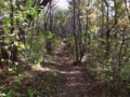 [小樽の風景]長橋なえぼ公園にて2011年10月19日撮影