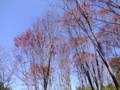 [小樽の風景]長橋なえぼ公園にて2011年10月19日撮影