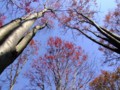 [小樽の風景]長橋なえぼ公園にて2011年10月19日撮影