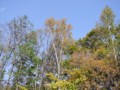 [小樽の風景]長橋なえぼ公園にて2011年10月19日撮影