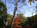 [小樽の風景]小樽公園にて2011年10月20日撮影