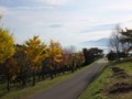 [小樽の風景]小樽手宮緑化公園にて2011年10月28日撮影