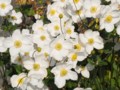 [小樽の風景]小樽手宮公園近くにて2011年10月28日撮影