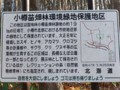 [小樽の風景]長橋なえぼ公園にて2011年11月10日撮影