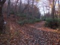 [小樽の風景]長橋なえぼ公園にて2011年11月10日撮影