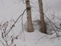 [小樽の風景]裏山にて2012年3月18日撮影