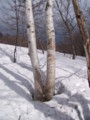 [小樽の風景]裏山にて2012年4月13日撮影