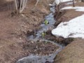 [小樽の風景]なえぼ公園にて2012年4月19日撮影