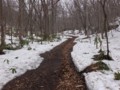 [小樽の風景]なえぼ公園にて2012年4月19日撮影