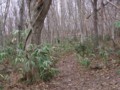 [小樽の風景]裏山にて2012年4月27日撮影