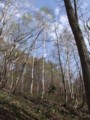 [小樽の風景]裏山にて2012年5月3日撮影