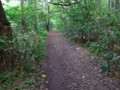 [小樽の風景]なえぼ公園にて2012年7月1日撮影