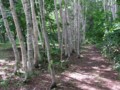 [小樽の風景]なえぼ公園にて2012年7月1日撮影