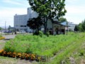 [新十津川の風景]駅にて2012年7月15日撮影