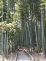 [京都・伊勢の旅の風景]高台寺にて2013年4月16日撮影