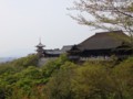 [京都・伊勢の旅の風景]清水寺にて2013年4月16日撮影