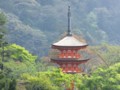 [京都・伊勢の旅の風景]清水寺にて2013年4月16日撮影