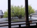 [京都・伊勢の旅の風景]西本願寺にて2013年4月17日撮影