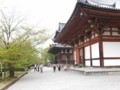 [京都・伊勢の旅の風景]東寺にて2013年4月17日撮影