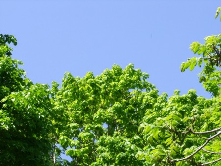 f:id:sikihuukei:20130605044321j:image