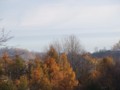 [小樽の風景]裏山にて2013年11月9日撮影