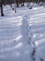 [小樽の風景]裏山にて2013年12月5日撮影