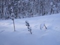 [小樽の風景]裏山にて2013年12月30日撮影