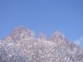 [小樽の風景]裏山にて2013年12月30日撮影