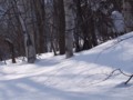 [小樽の風景]裏山にて2014年2月26日撮影