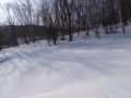 [小樽の風景]裏山にて2014年2月26日撮影