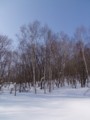 [小樽の風景]裏山にて2014年2月26日撮影