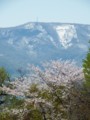 [小樽の風景]手宮緑化植物園にて2014年5月11日撮影