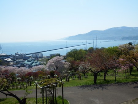 手宮緑化植物園にて2014年5月11日撮影