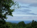 [小樽の風景]庭にて2014年6月21日撮影