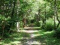 [小樽の風景]なえぼ公園にて2014年7月15日撮影