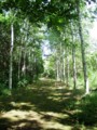 [小樽の風景]なえぼ公園にて2014年7月15日撮影