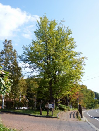 f:id:sikihuukei:20141009055311j:image