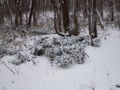 [小樽の風景]裏山で2014年11月14日撮影