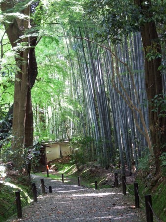 f:id:sikihuukei:20150505093156j:image