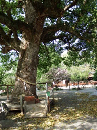 f:id:sikihuukei:20150505103807j:image