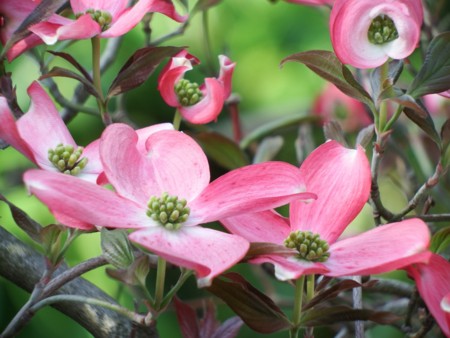 f:id:sikihuukei:20150505103814j:image
