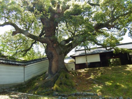 f:id:sikihuukei:20150505104122j:image