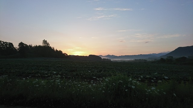 f:id:sikinari:20190729140733j:image