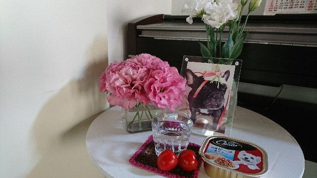 f:id:sikinari:20190729140840j:image