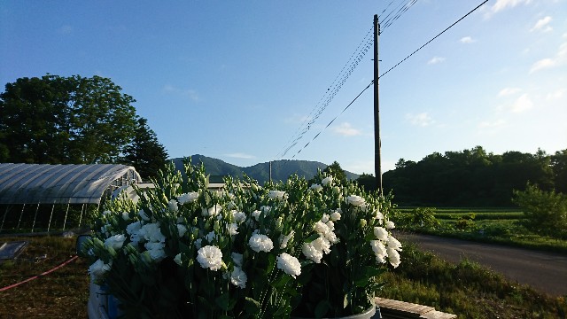 f:id:sikinari:20190729141417j:image